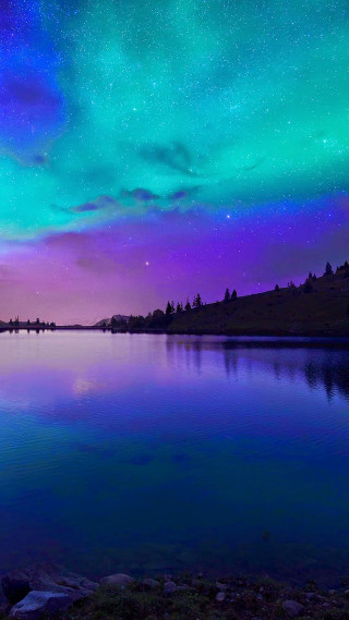 Lake purple blue sky stars - a few tree free wallpaper for mobile