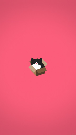 Box cat pink background black - a minimalist painting free wallpaper for mobile