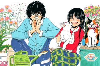 Couple people sitting cat lap - a couple of people sitting next free wallpaper