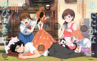 People cats table group laying - a table in front free wallpaper for desktop