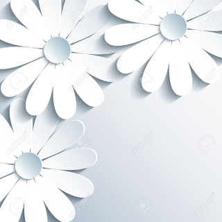 White paper flower background minimalism - text free wallpaper for tablet