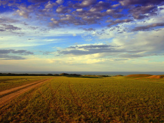 Dirt road field sky clouds 4 - a dirt road in a field free wallpaper