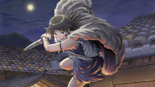 Woman sword flying rooftop night - a full moon in the background free wallpaper for desktop