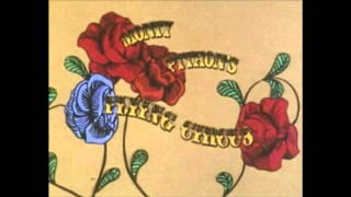 Country sweet rose flower butterfly - a picture of a flower free wallpaper