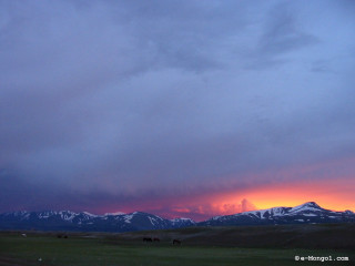 Sunset horses grazing field mountains - dramatic light free wallpaper