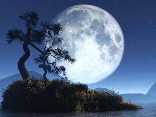 Full moon island ocean tree - full moon free wallpaper for desktop