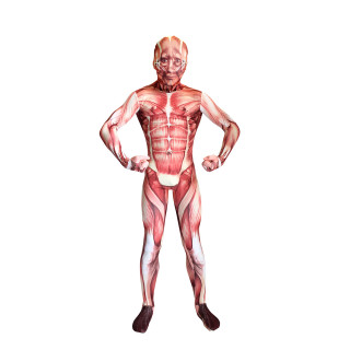Muscular man full body suit - his hip free wallpaper for tablet
