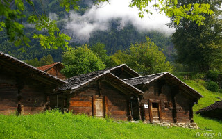 Wooden houses green hillside forest - a lush green hillside next free wallpaper for desktop