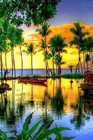 Tropical sunset boats water palm - a colorful sky free wallpaper for mobile