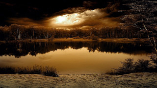 Lake water trees night cloudy - water and trees free wallpaper for desktop