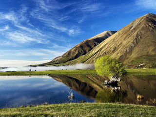 Lake mountains green field tree 3 - a green field free wallpaper for desktop