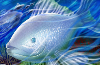 Fish hook mouth fish water - its mouth and a fish free wallpaper for desktop