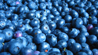 Blueberry pile table macro synthetism - a table top free wallpaper