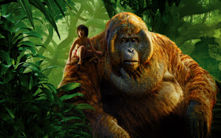 Man woman brown gorilla jungle - weta digital free wallpaper
