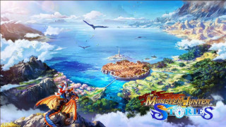 Man horse water bird flying - a painting of a man riding free wallpaper