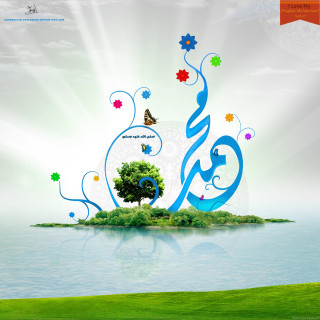 Tree island butterfly flying butterfly - a butterfly free wallpaper for tablet