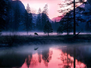 Horse lake sunset mountain background - a horse free wallpaper for desktop