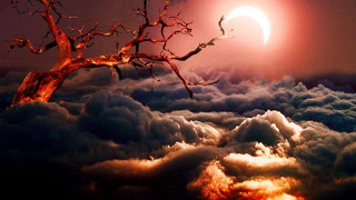 Tree clouds halfmoon darksky redmoon - a half moon in the background free wallpaper