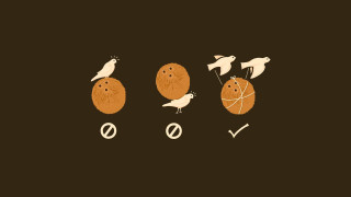 Birds egg conceptual art drawing - a group of birds free wallpaper