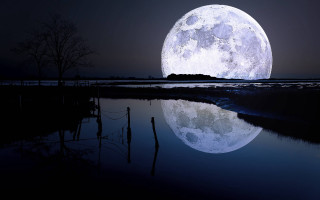 Full moon water night tree - caspar wolf free wallpaper