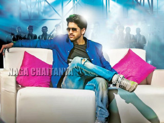 Man couch pink pillow blue - a blue jacket free wallpaper