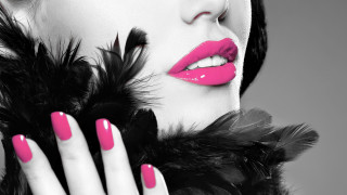 Woman pink black makeup feathers - pop art free wallpaper for desktop