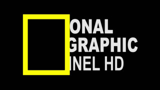 Black yellow logo national graphic - ƒ 1. free wallpaper