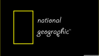 Black background yellow rectangle national - david rudnick free wallpaper for desktop