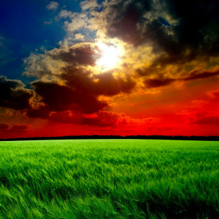 Green grass cloudy sky sunshine 2 - sky free wallpaper for tablet