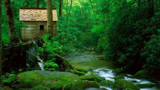 Small cabin forest stream wooden - a stream free wallpaper for desktop
