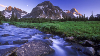 Mountain stream green field forest 2 - hillside free wallpaper