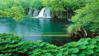Waterfall forest lake green nature - cao buxing free wallpaper