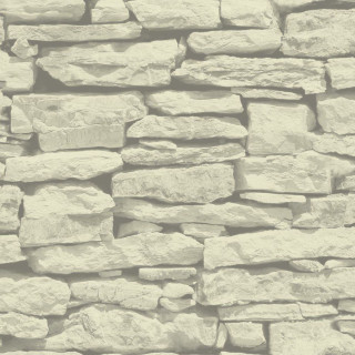Stone wall white background cat - ambient occlusion free wallpaper