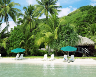 Beach lawn chairs umbrellas hut - cedric seaut free wallpaper for desktop