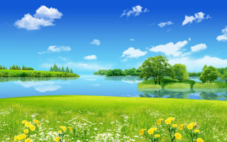 Green field flowers trees lake 3 - flower and trees free wallpaper