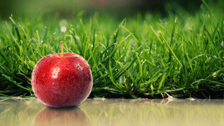 Red apple green field water - a shiny surface free wallpaper for desktop