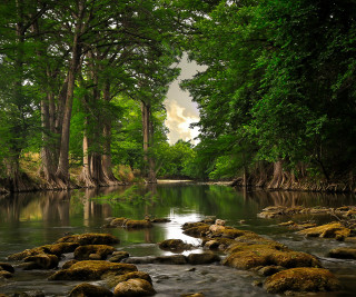 River rocks trees cloudy sky 2 - river free wallpaper