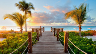 Wooden walkway beach palm trees 3 - the ocean in the background free wallpaper