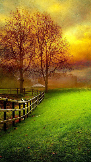 Fence trees field sunset foggy - foggy free wallpaper for mobile
