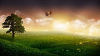 Tree hot air balloon sunset 2 - hot free wallpaper