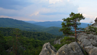 Lone tree rocky outcropping mountains - the mountain free wallpaper