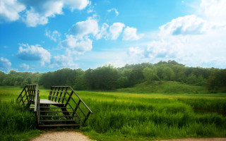 Wooden bench field forest path - a grassy field free wallpaper