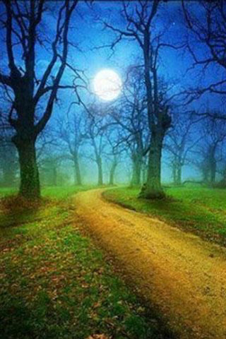 Dirt road forest full moon - free halloween wallpaper for mobile