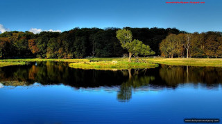 Lake trees grass blue sky 6 - a few cloud free wallpaper for desktop