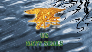 Us navy seal gold eagle - book cover free wallpaper