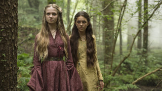 Medieval girls forest trees fog - tree and fog in the background free wallpaper