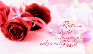 Two roses pink ribbon message - the heart free wallpaper