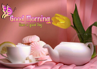 Pink background teapot image 2023 - a teapot free wallpaper