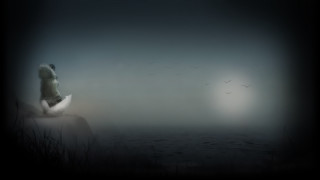 Woman sitting rock water birds - overhead in the distance free wallpaper