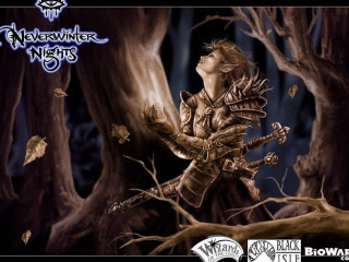 Woman forest sword tree branch - a woman in a forest free wallpaper